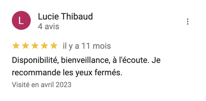 Avis Client